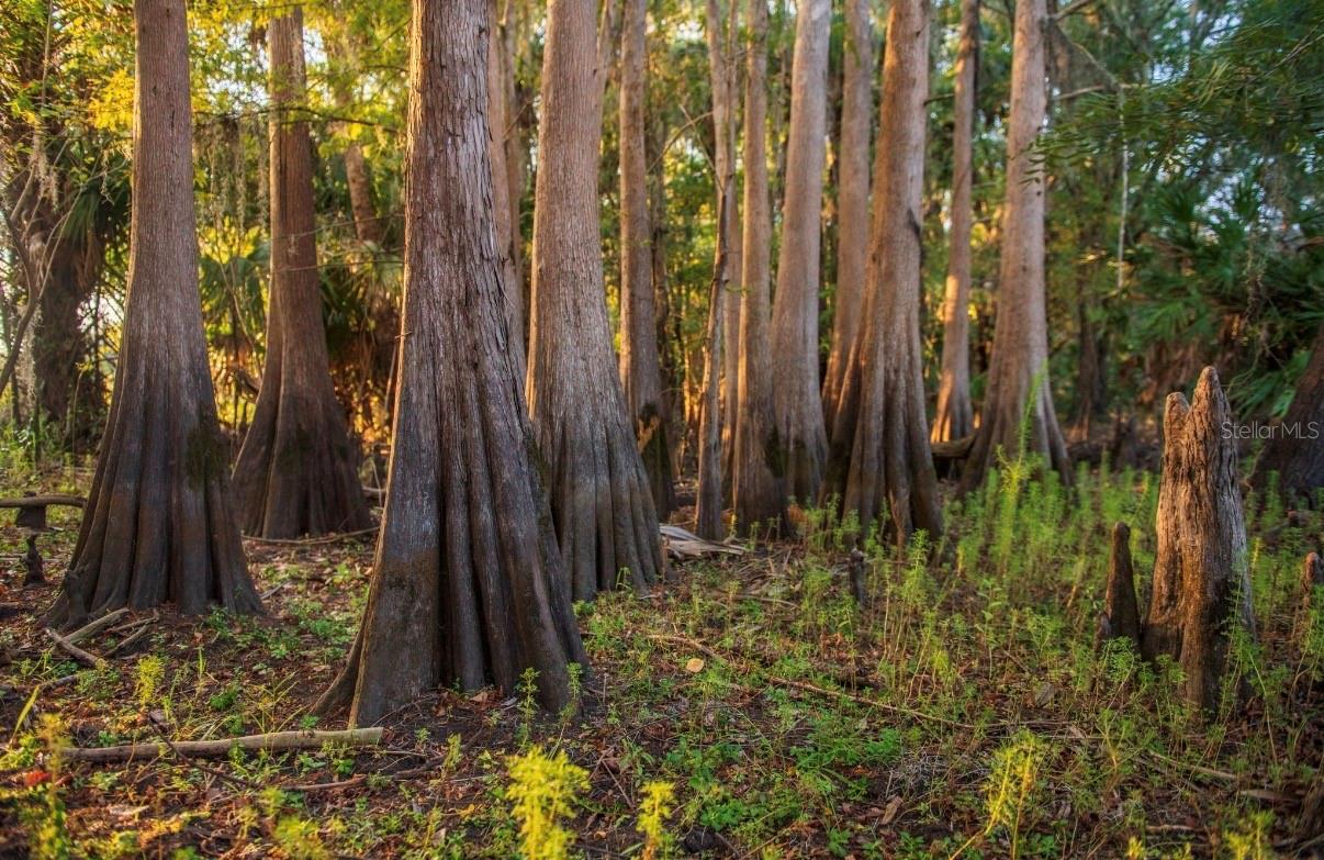 Image 24 of 36 For 1061 Harris Road