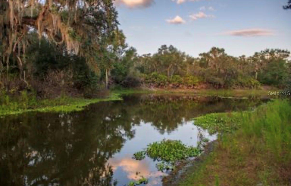 Image 26 of 36 For 1061 Harris Road