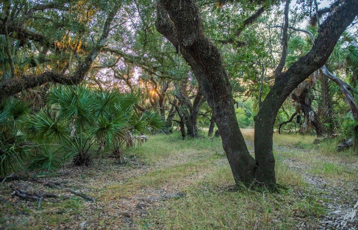 Image 28 of 36 For 1061 Harris Road