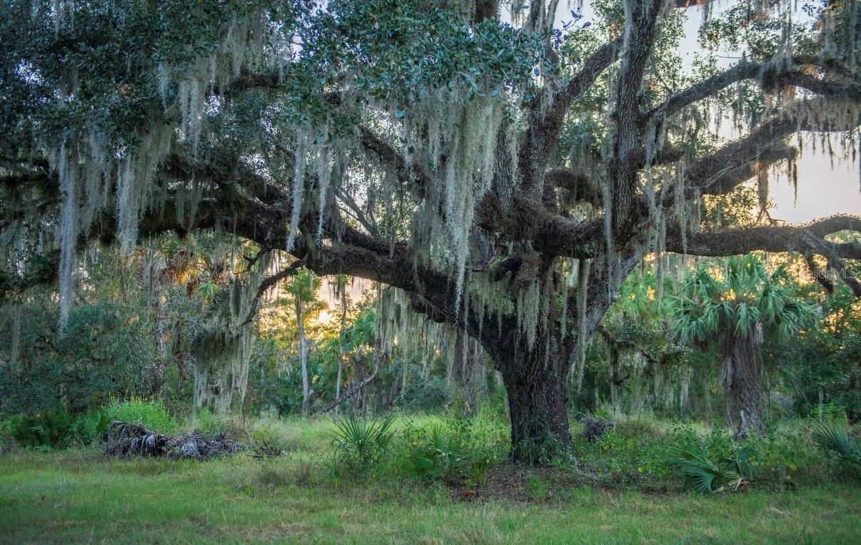 Image 29 of 36 For 1061 Harris Road