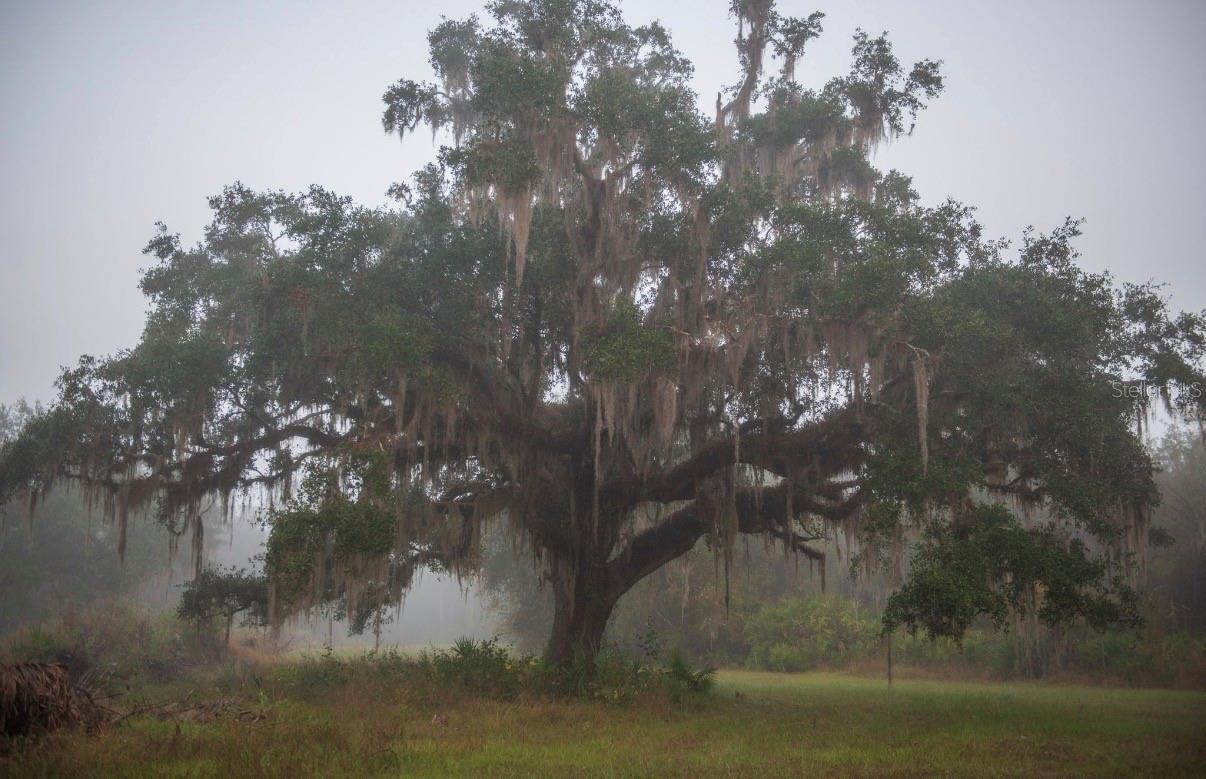 Image 32 of 36 For 1061 Harris Road