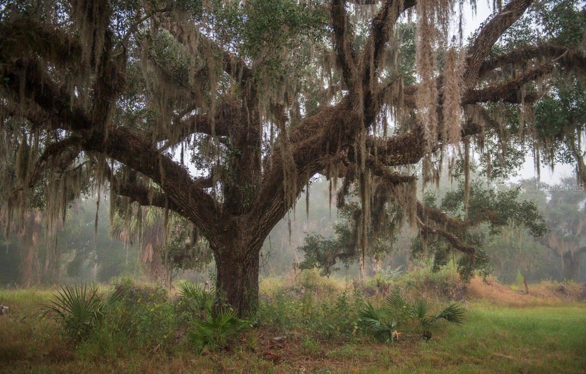 Image 33 of 36 For 1061 Harris Road