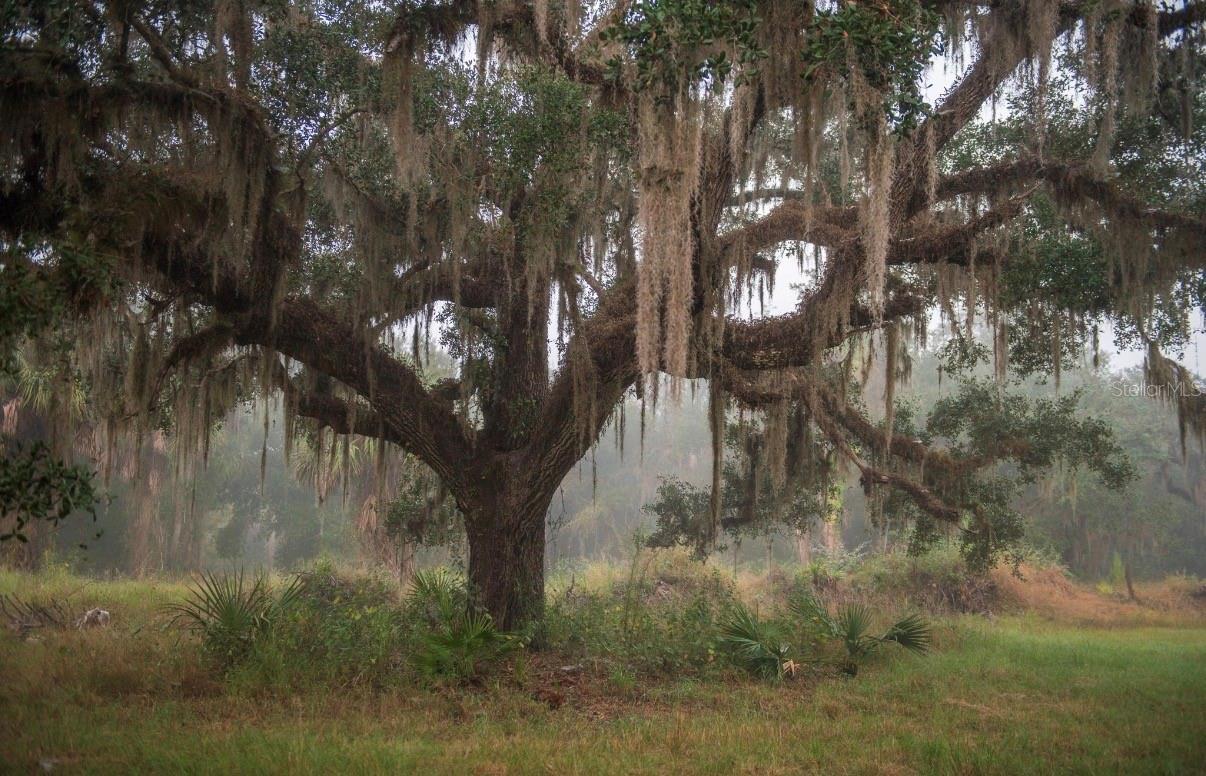 Image 34 of 36 For 1061 Harris Road