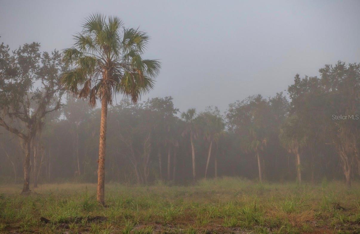 Image 35 of 36 For 1061 Harris Road