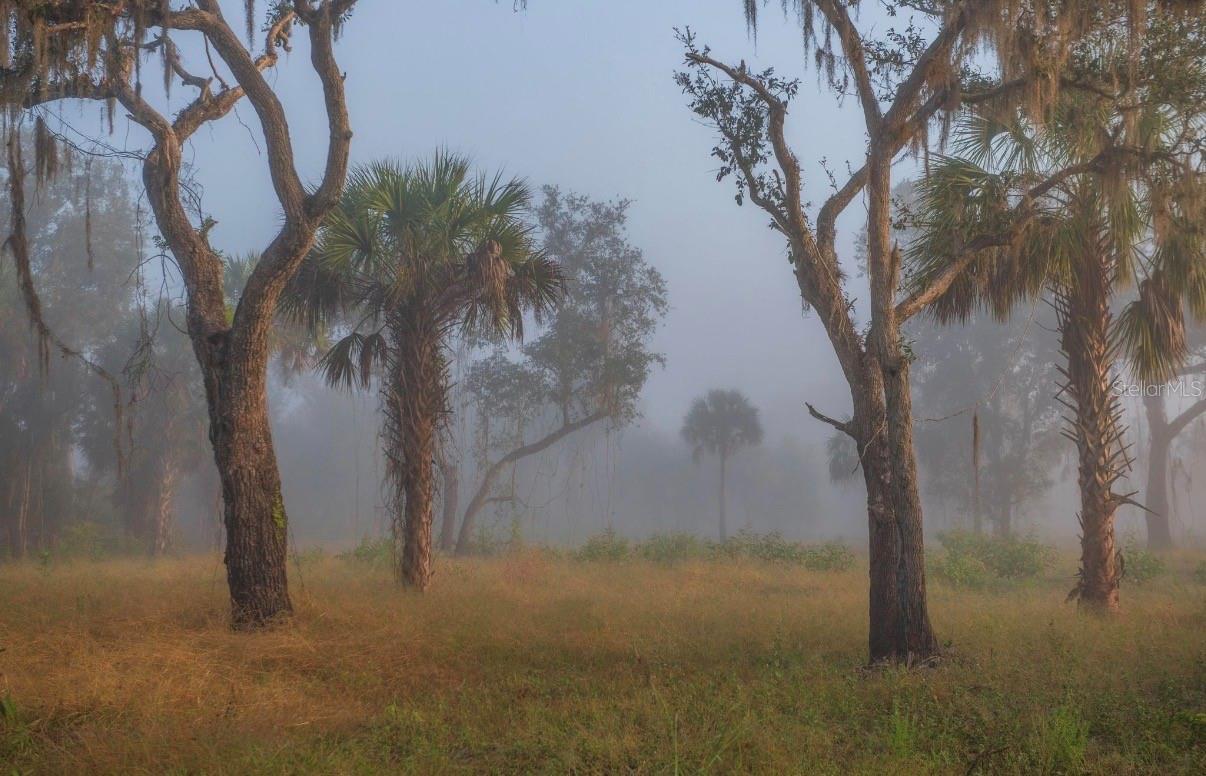 Image 9 of 36 For 1061 Harris Road