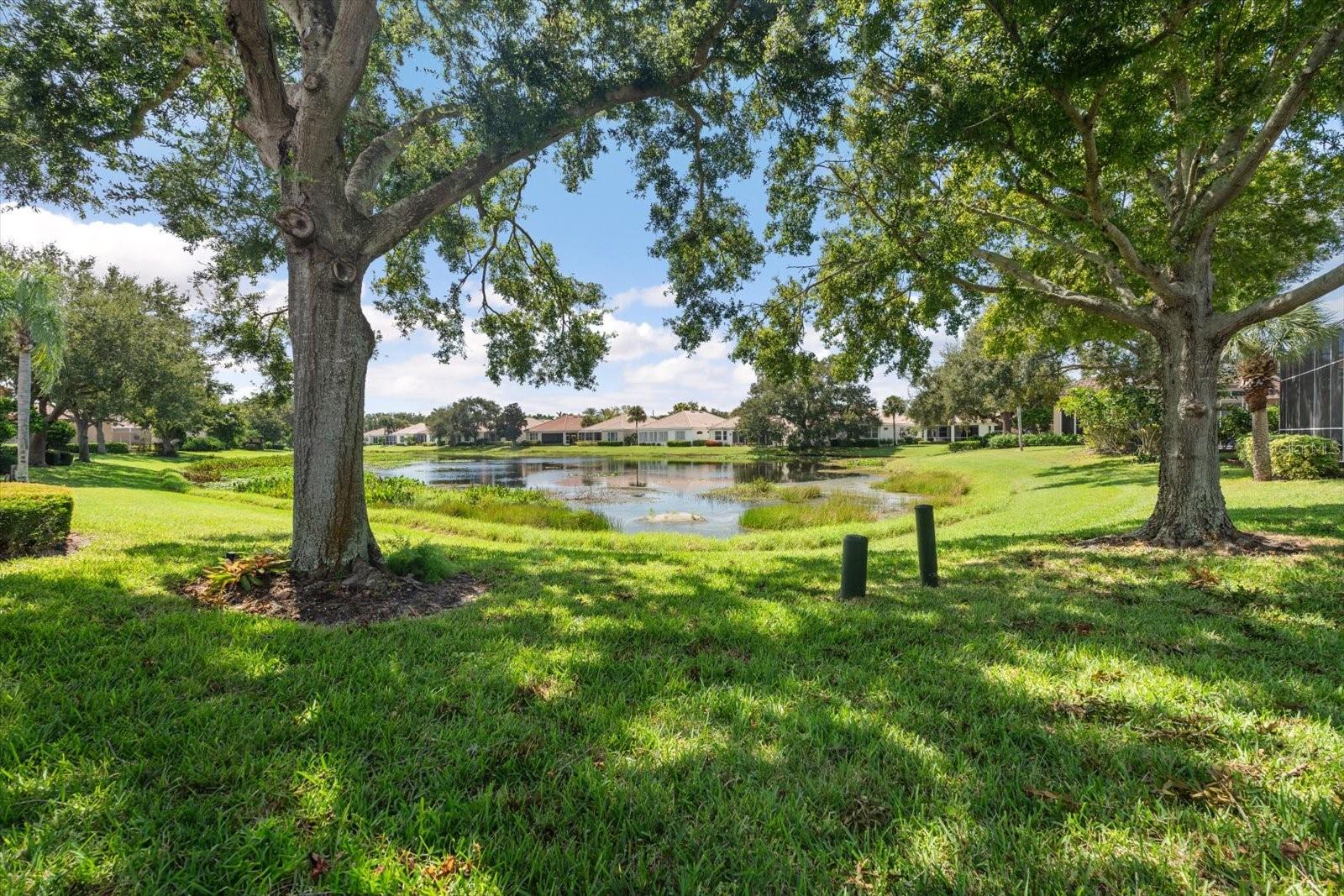 Image 32 of 43 For 3871 Alamanda Drive