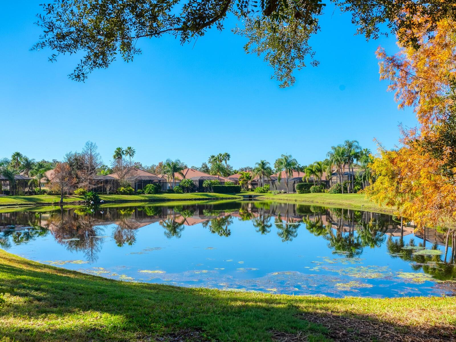 Image 49 of 63 For 13911 Siena Loop