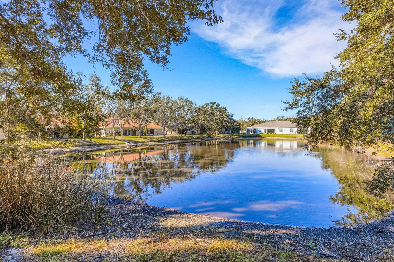 Image 3 of 36 For 248 51st Street Circle E