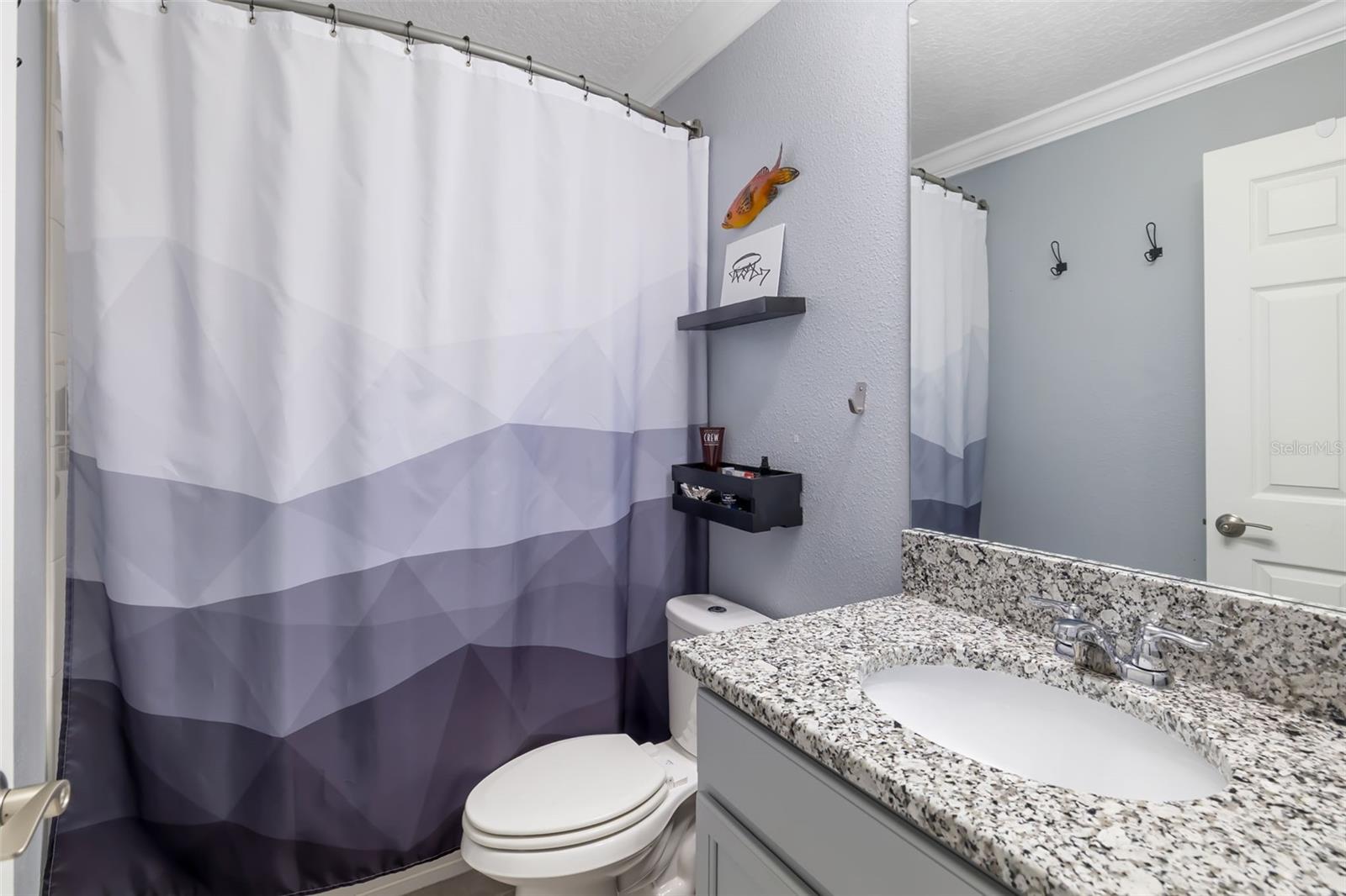 Image 44 of 79 For 731 116th Court Ne