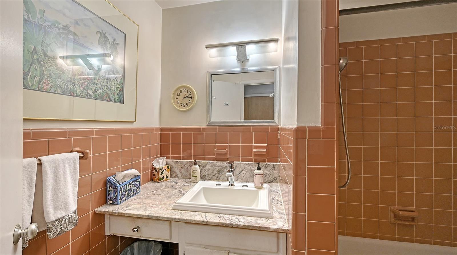 Image 45 of 78 For 3012 Desoto Road