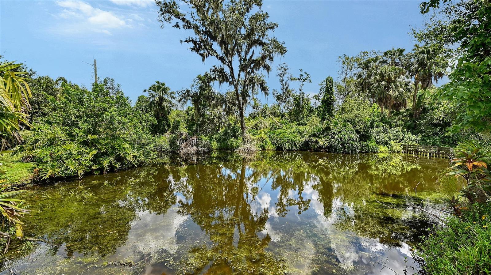 Image 59 of 78 For 3012 Desoto Road