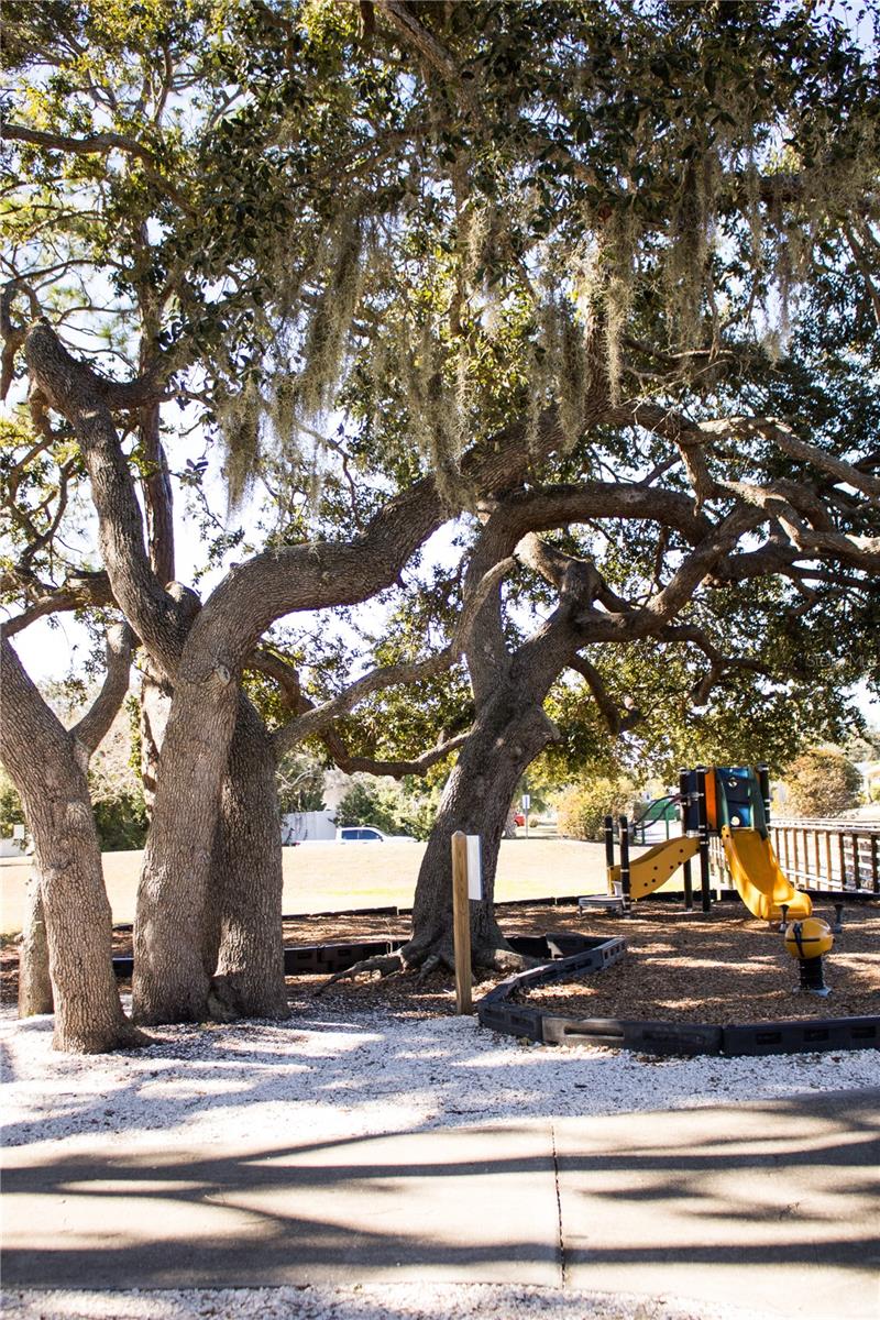 Image 29 of 32 For 901 Lockwood Ridge Road