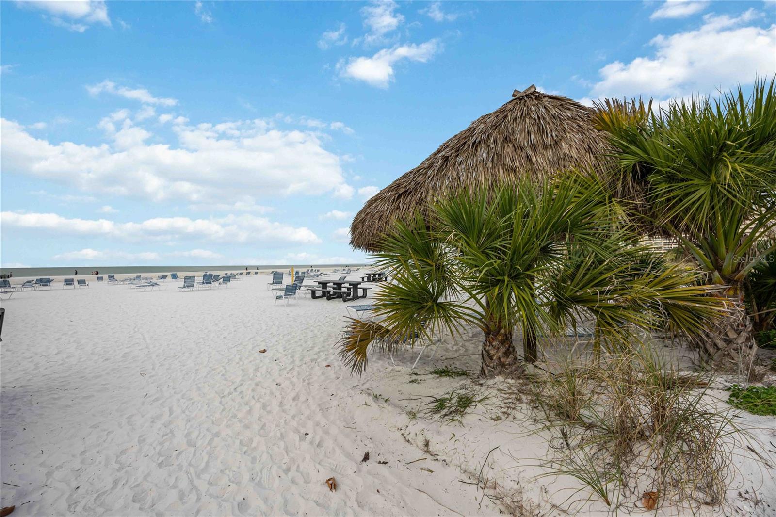 Image 43 of 69 For 1166 Peppertree Drive 112d