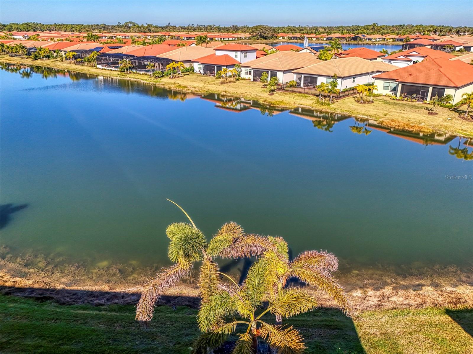 Image 51 of 91 For 113 Porta Vecchio Bend 202