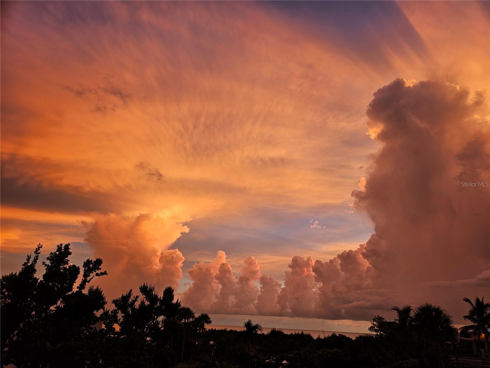 Image 47 of 47 For 5300 Ocean Boulevard 202