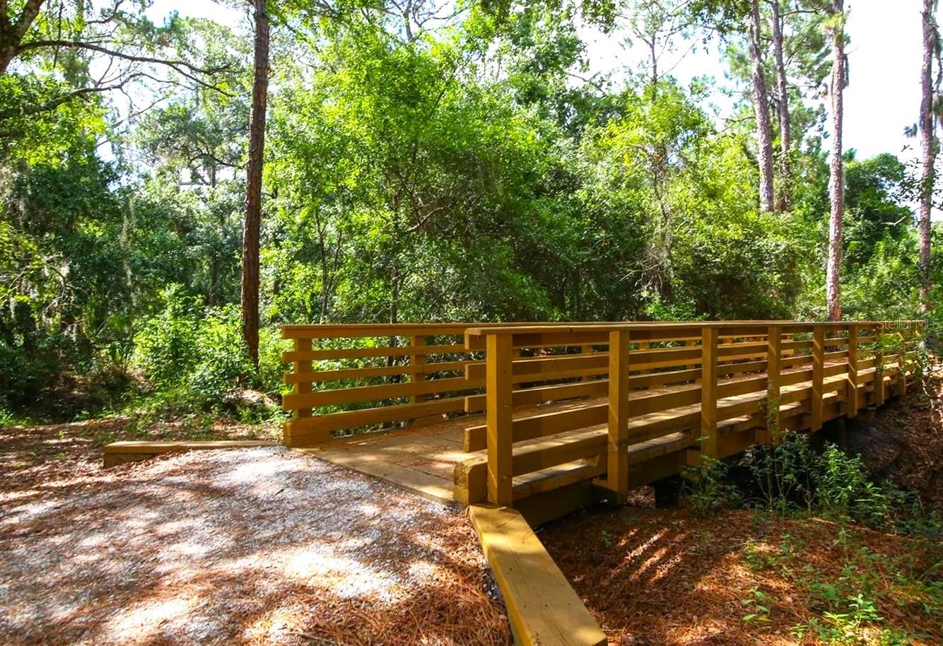 Image 38 of 50 For 14163 Cattle Egret Place