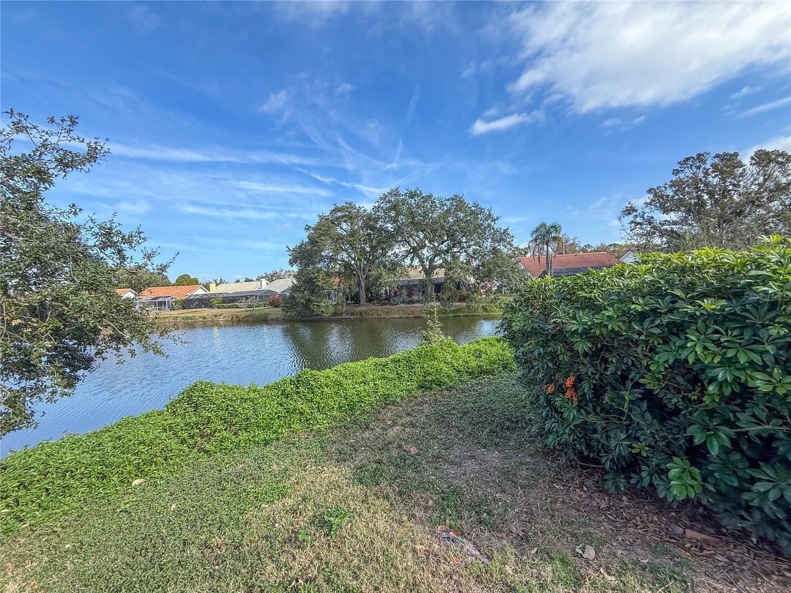 Image 9 of 52 For 5969 San Michelle Drive