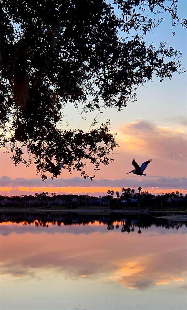 Image 34 of 51 For 6527 Moorings Point Circle 101