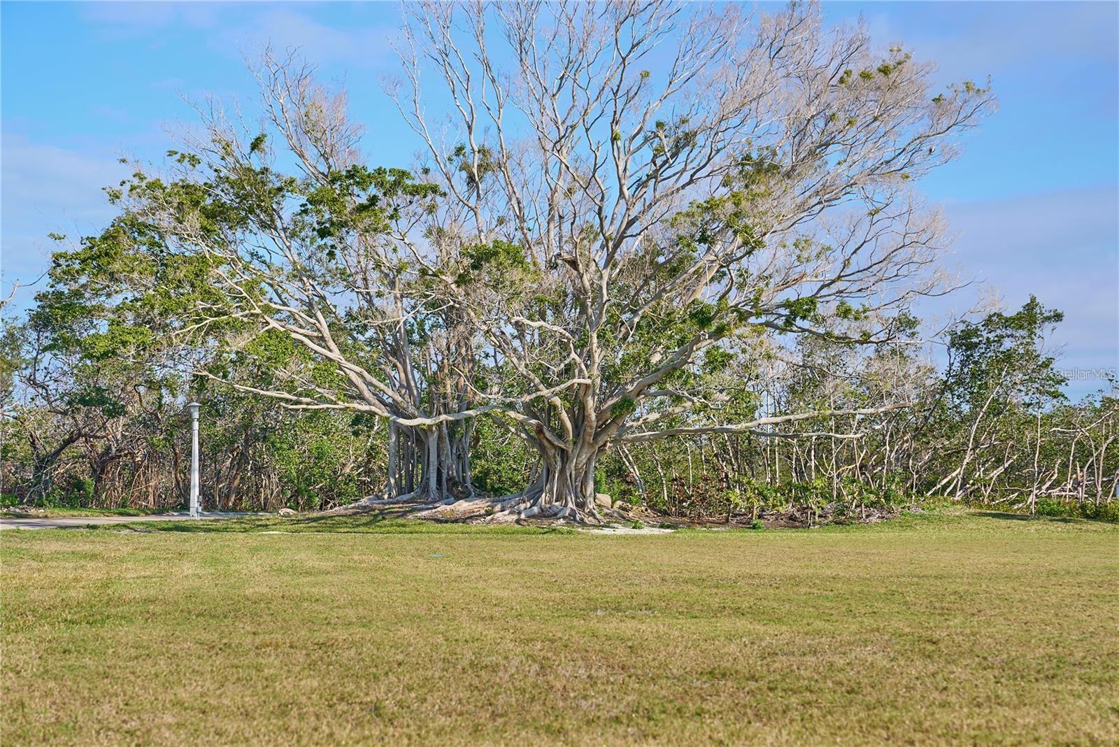 Image 96 of 96 For 73 Tidy Island Boulevard 73