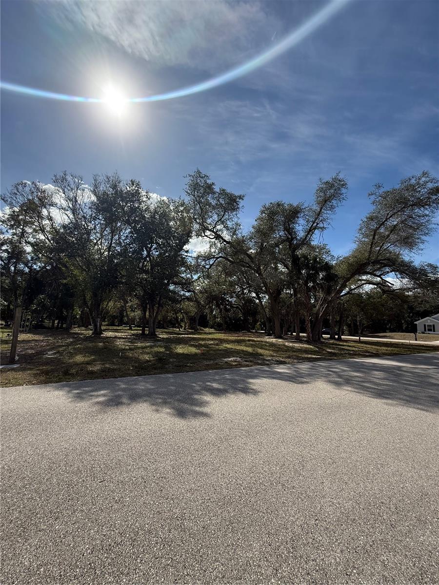 Image 3 of 10 For Maukbach Terrace