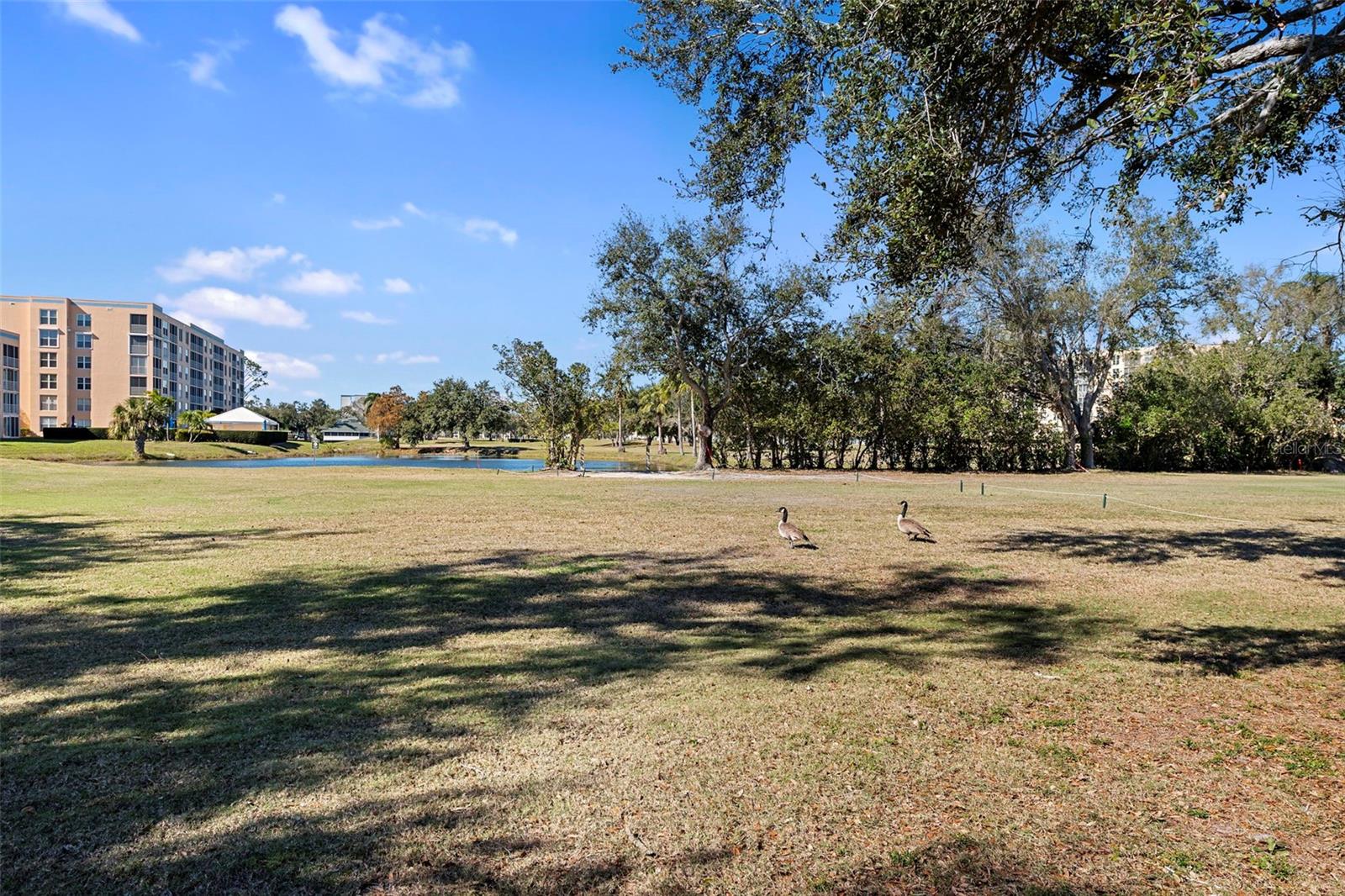 Image 32 of 46 For 4220 Pinebrook Circle 10