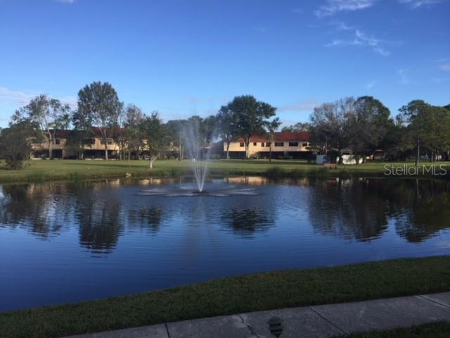 Image 42 of 47 For 8162 Terrace Garden Drive N 204