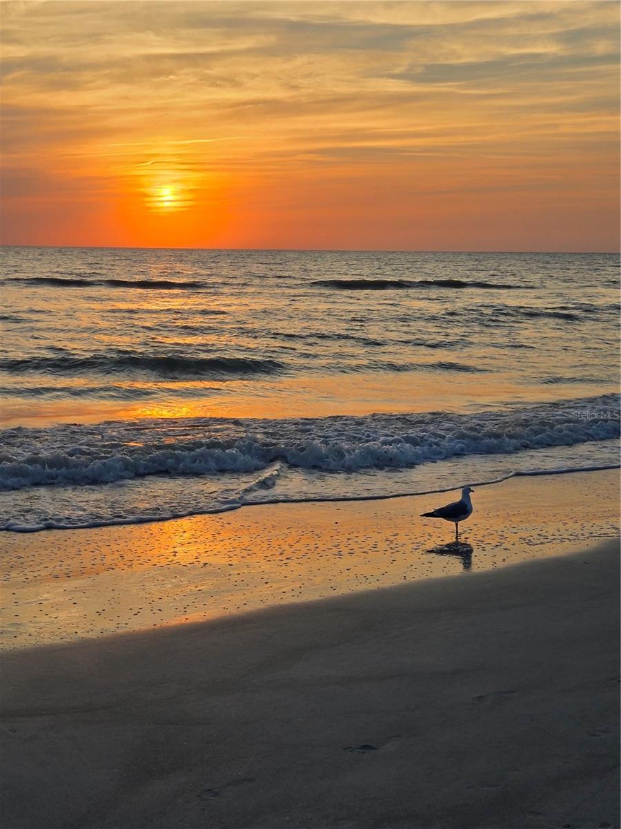 Image 24 of 25 For 13150 3rd Street E