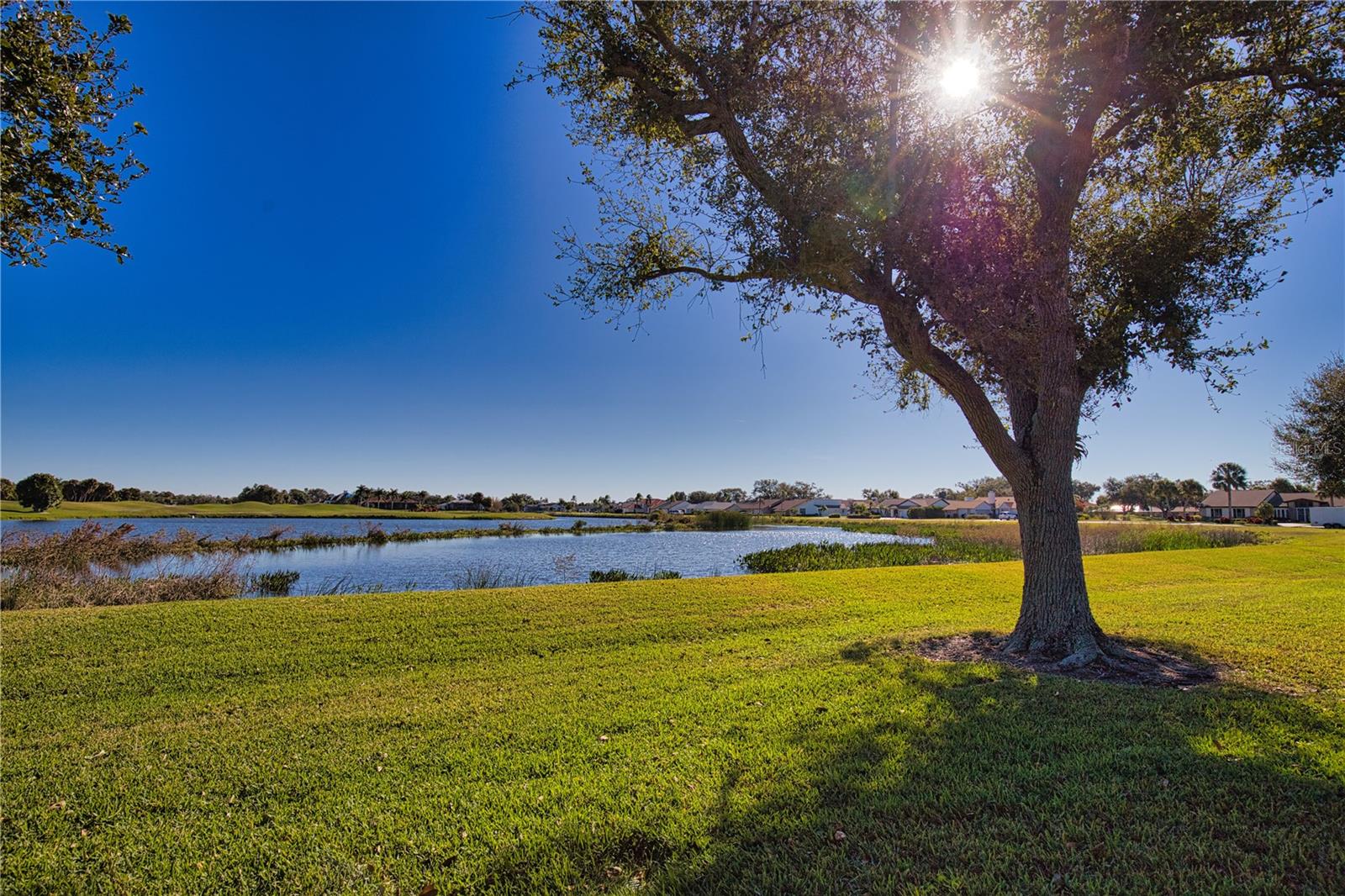 Image 49 of 61 For 7357 Ballantrae Place 26a