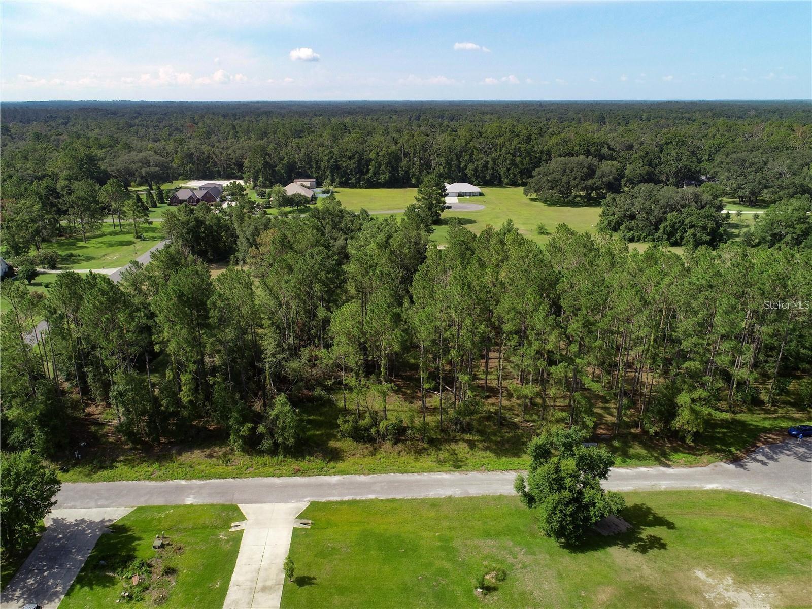 Image 5 of 12 For 0 88th Trail