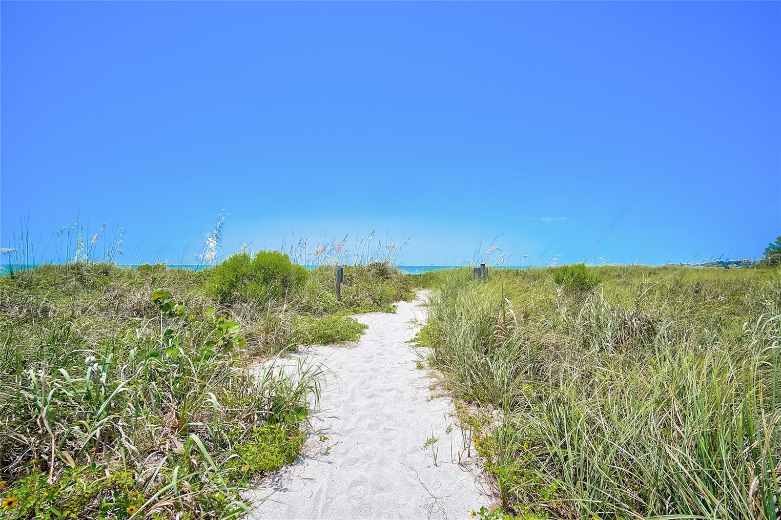 Image 36 of 41 For 8750 Midnight Pass Road 102