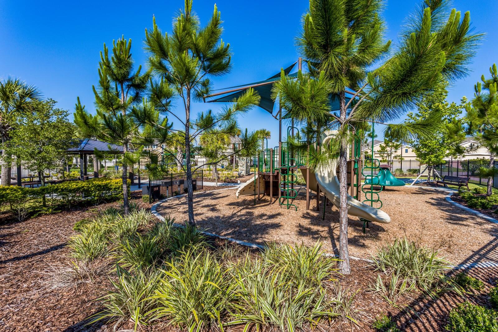 Image 74 of 74 For 343 Tierra Verde Way