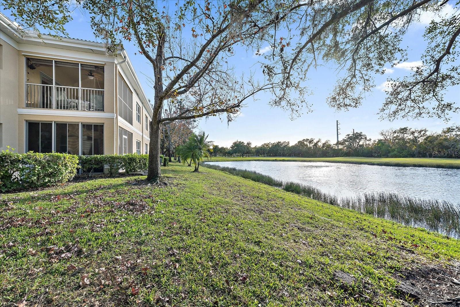 Image 34 of 50 For 6318 Grand Oak Circle 204