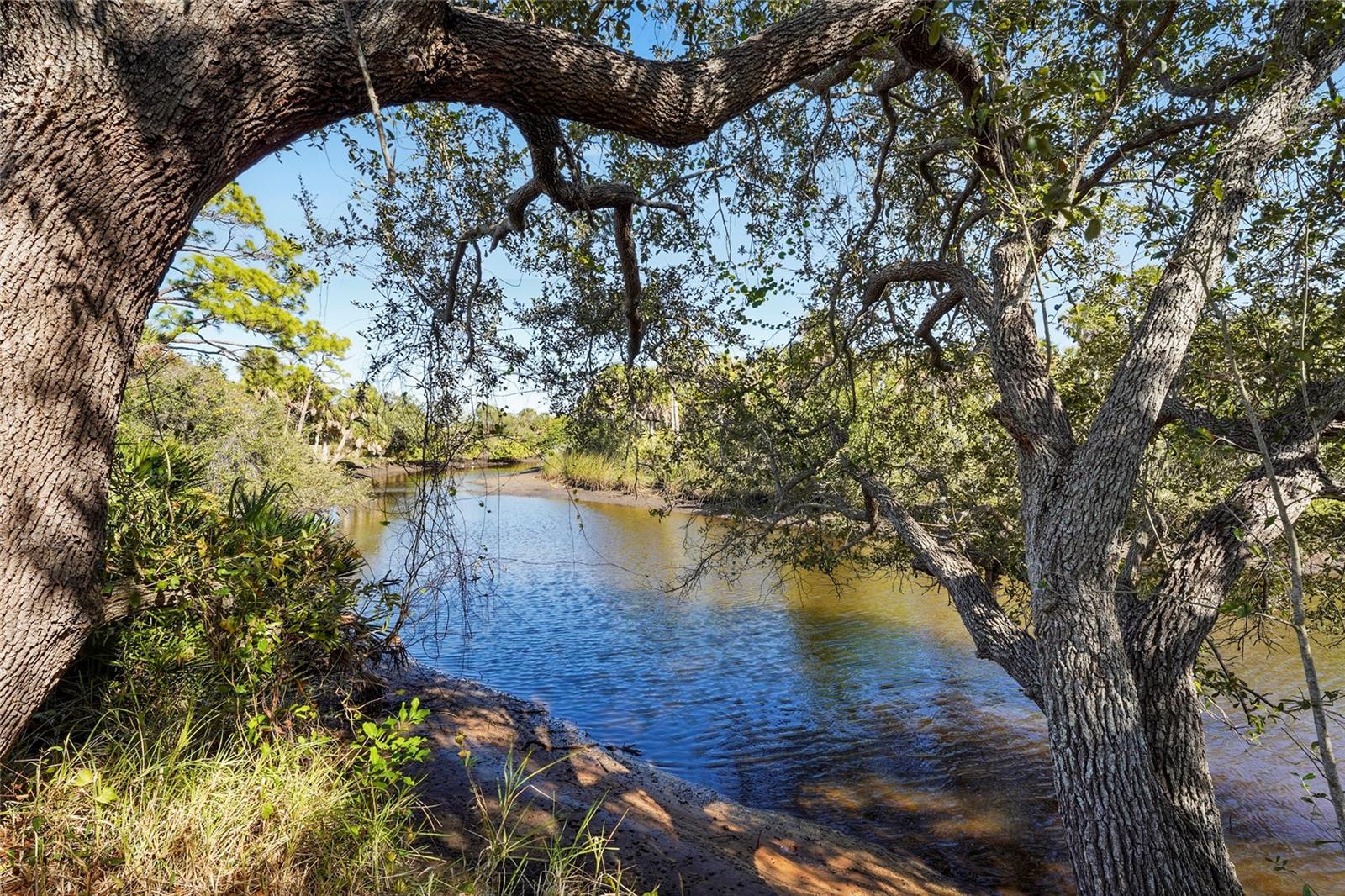 Image 11 of 85 For 7686 Raptor Court