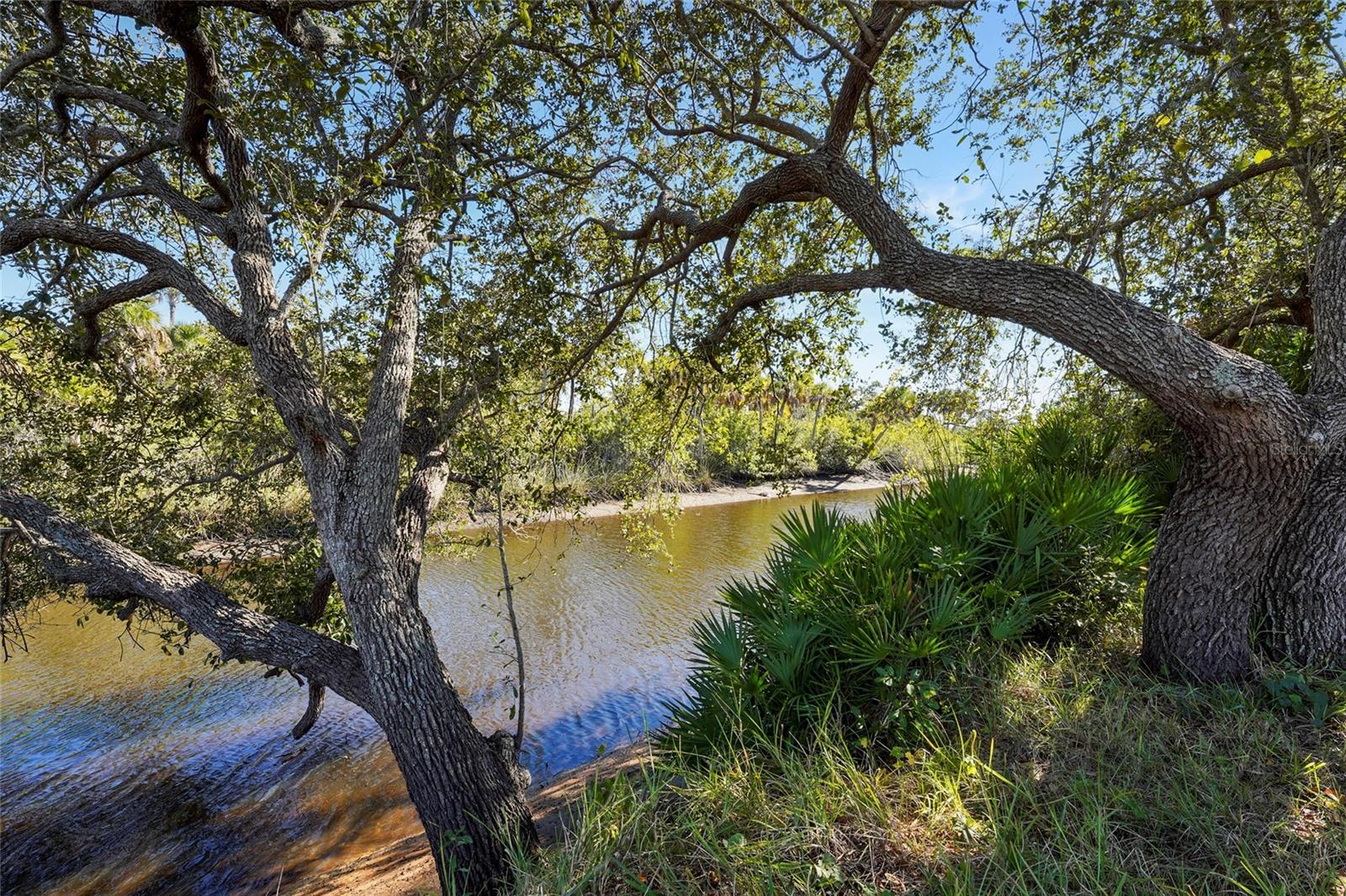 Image 53 of 85 For 7686 Raptor Court