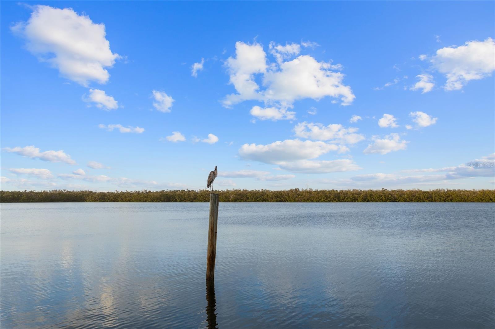 Image 36 of 44 For 4310 Falmouth Drive 304