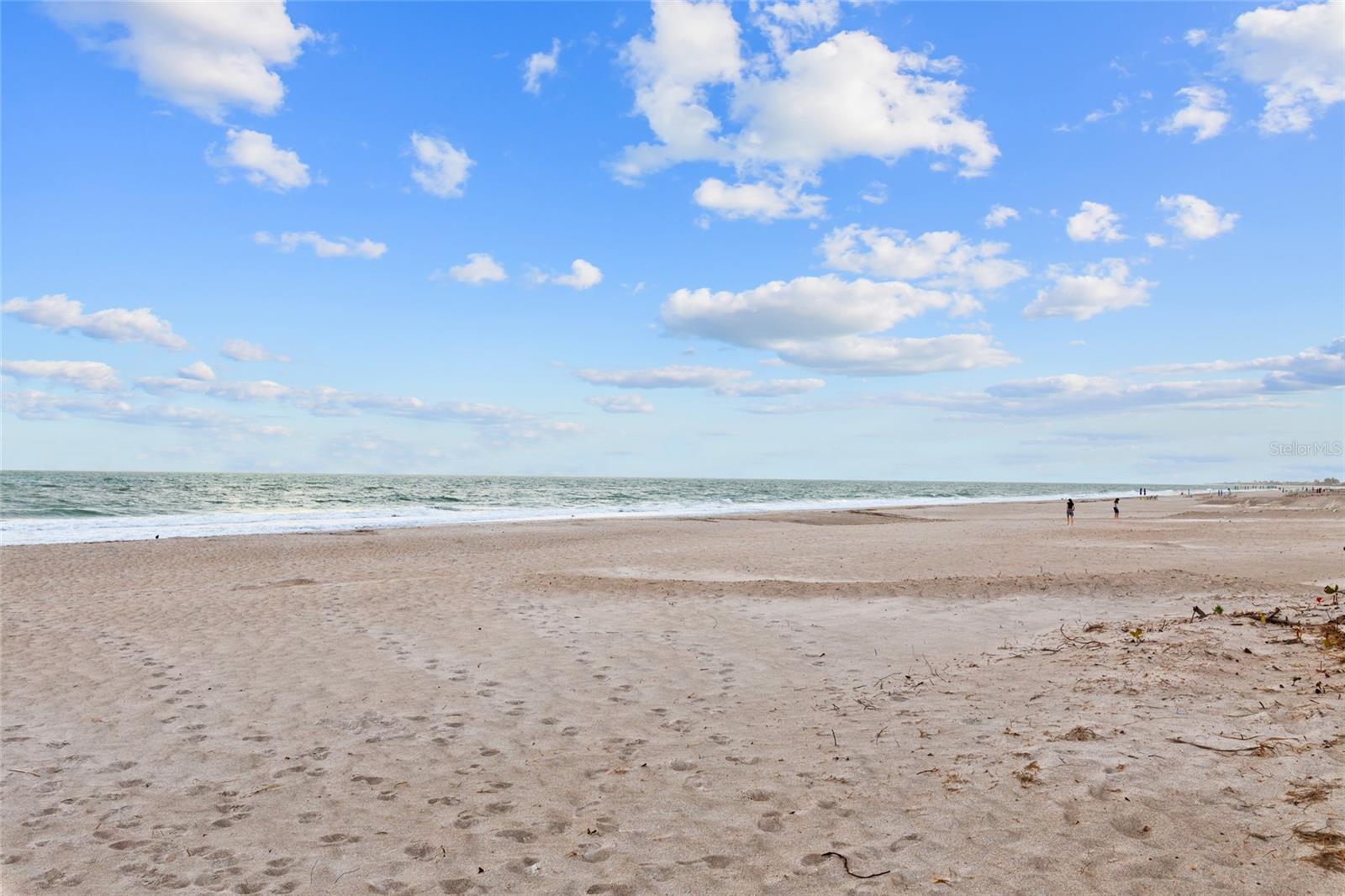 Image 41 of 44 For 4310 Falmouth Drive 304