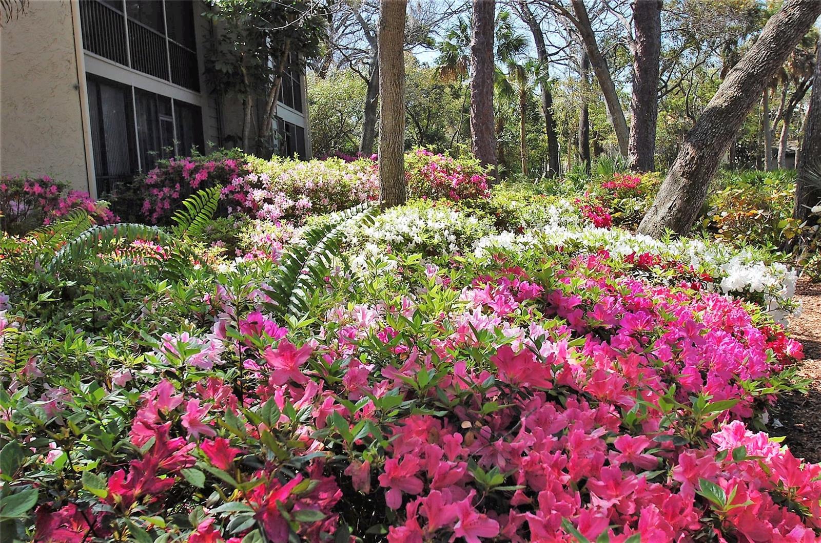 Image 44 of 44 For 1518 Pelican Point Drive Ba156