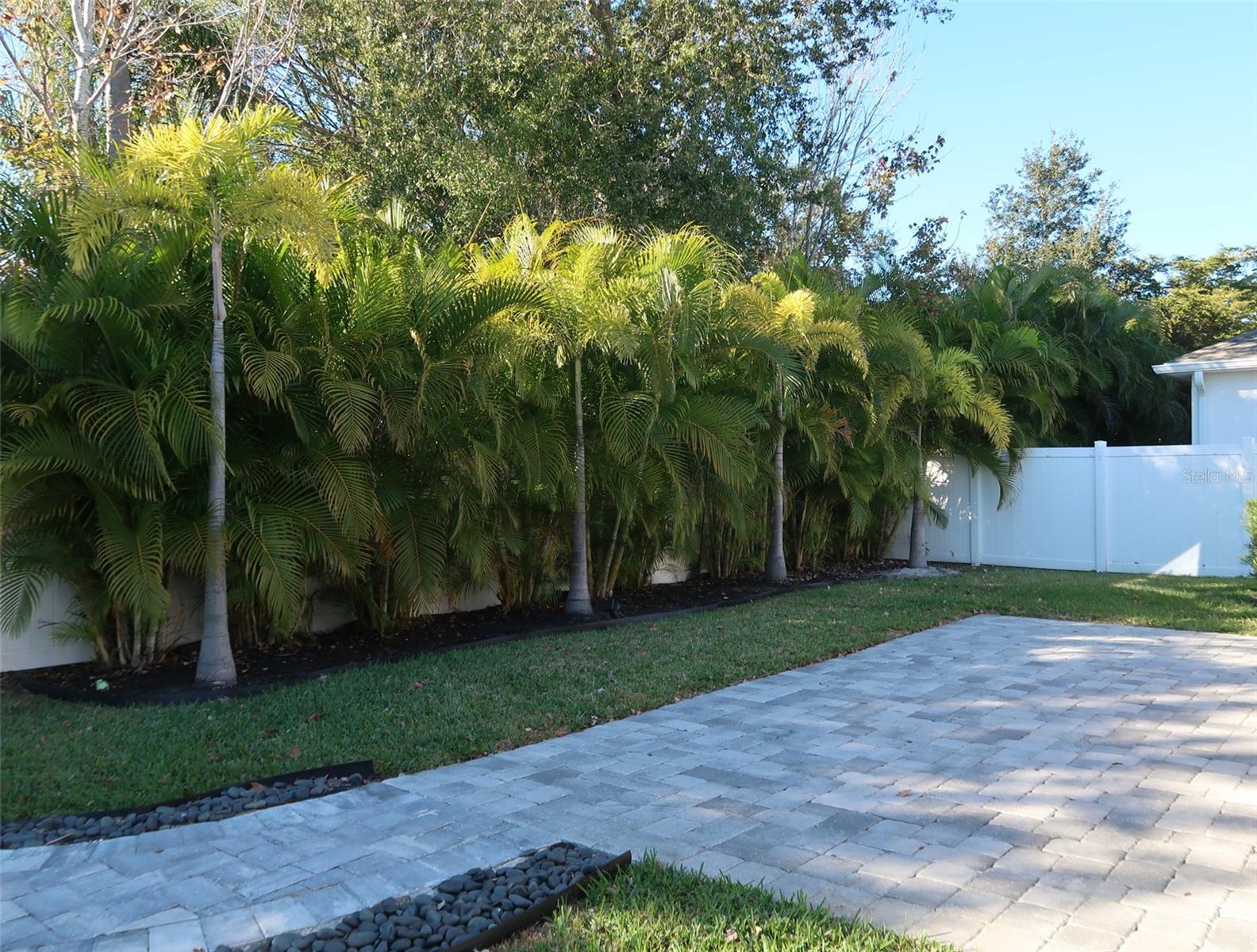 Image 16 of 18 For 2555 Fireflag Lane