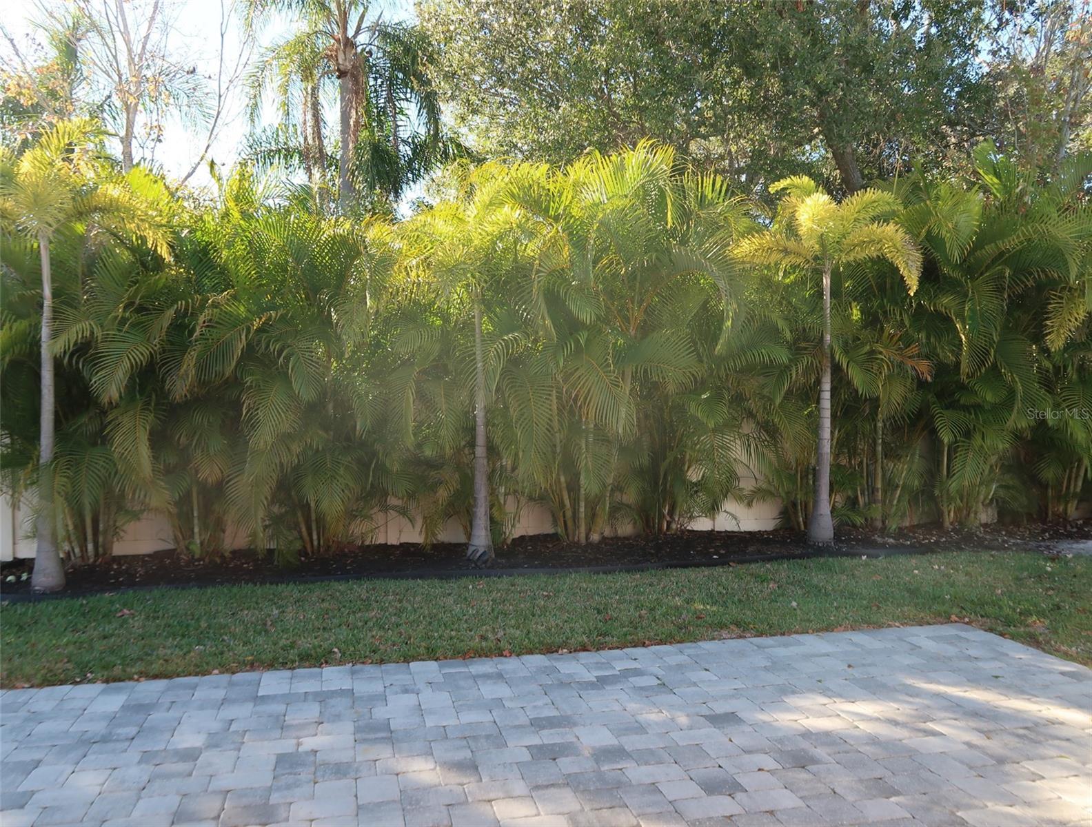 Image 17 of 18 For 2555 Fireflag Lane