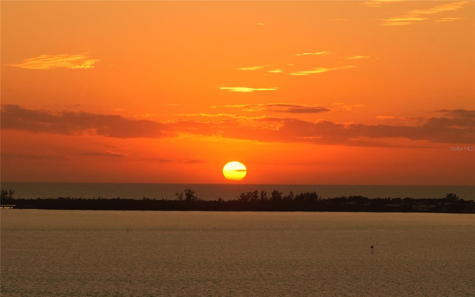 Image 56 of 56 For 401 Quay 1501