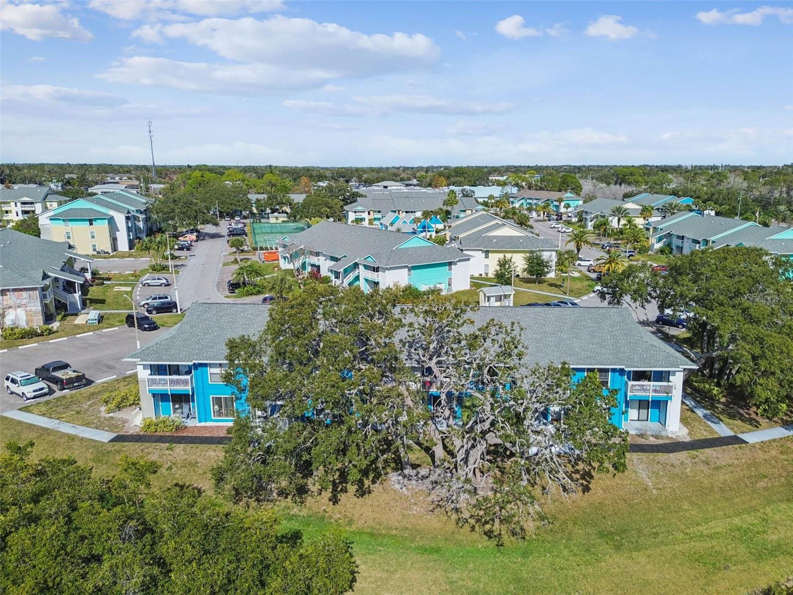 Image 35 of 61 For 455 Alt 19 S 225