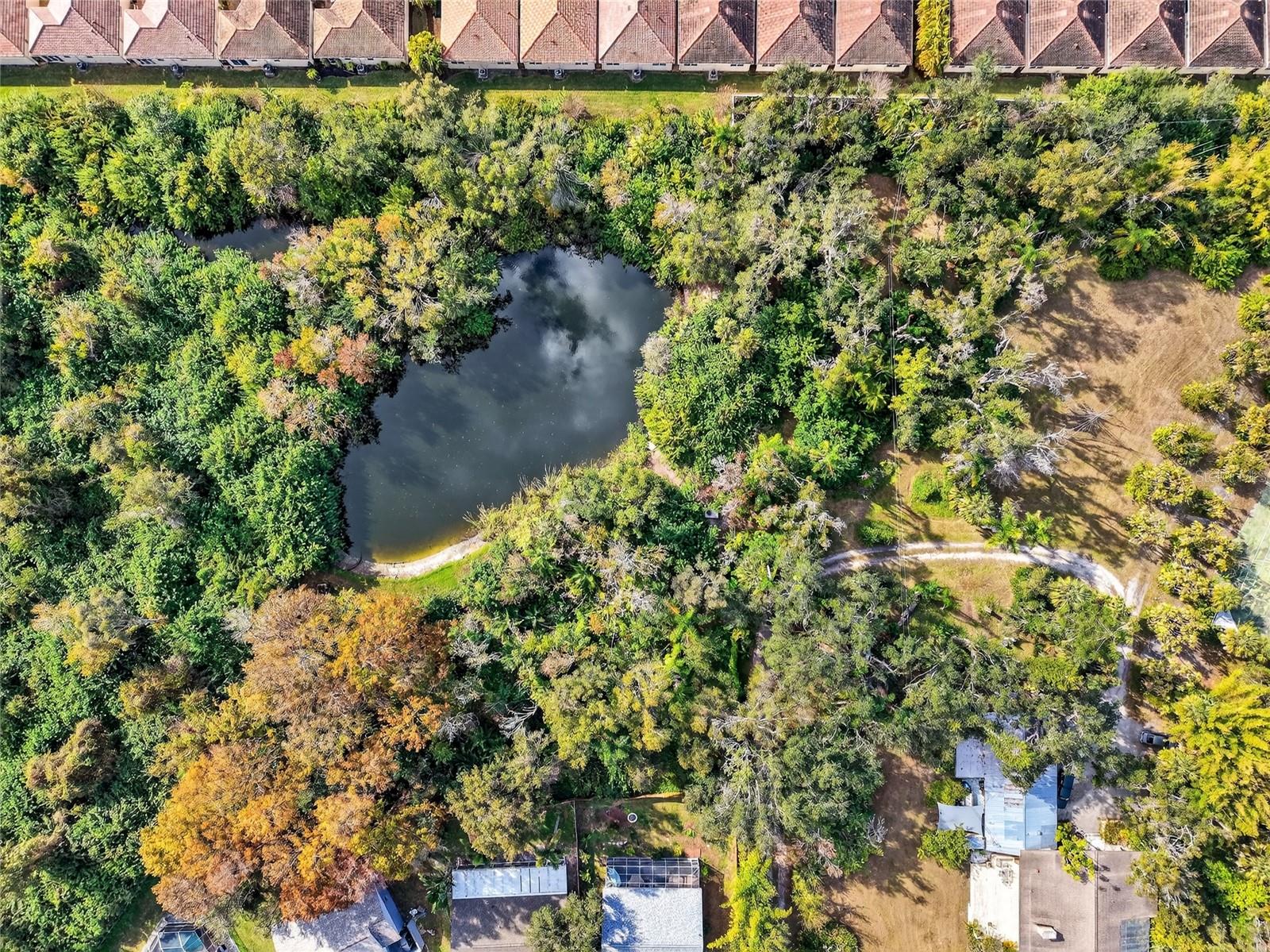 Image 11 of 26 For Address Not Provided