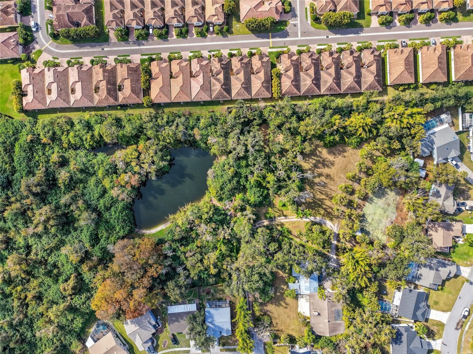 Image 14 of 26 For Address Not Provided