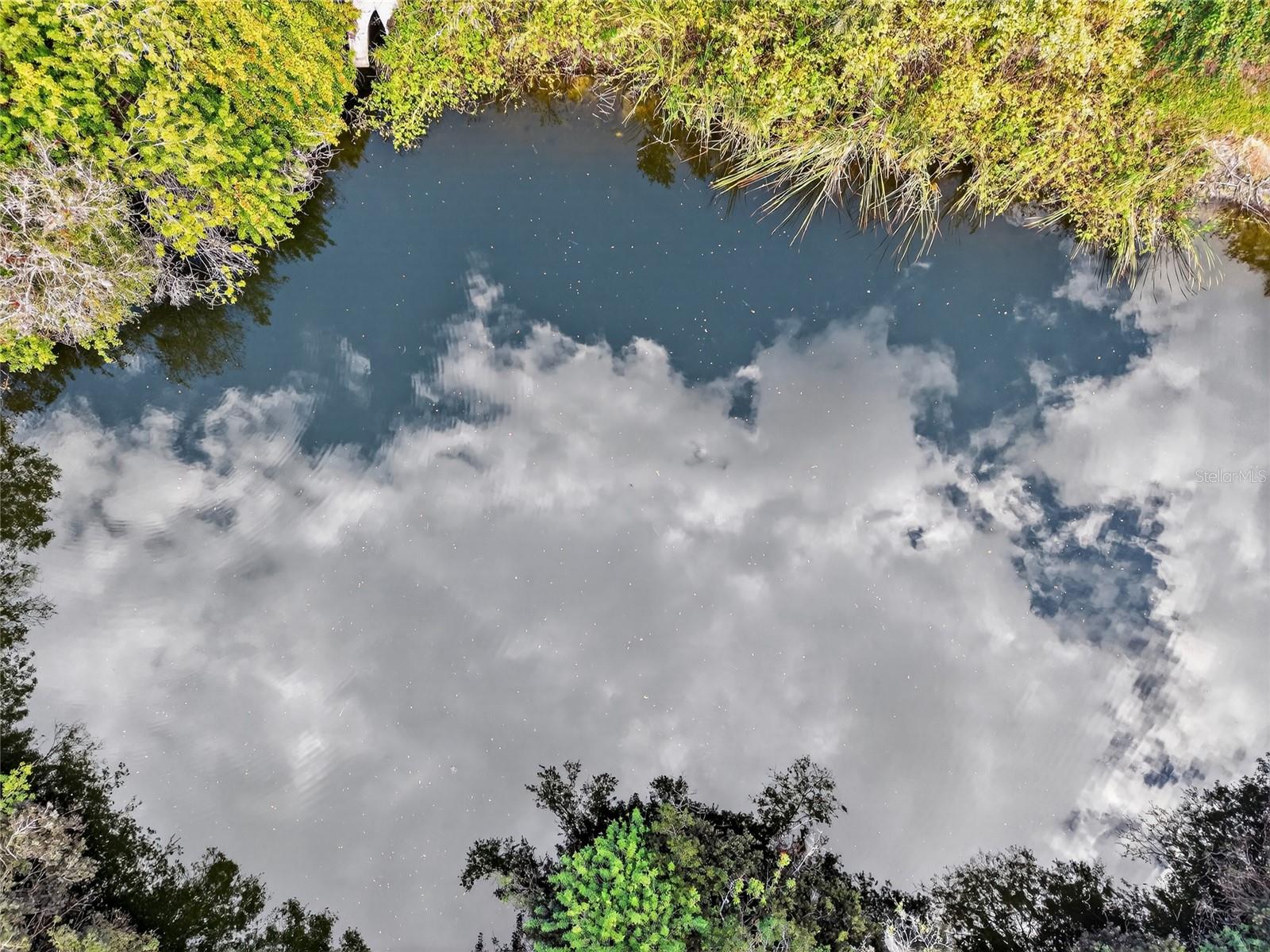 Image 16 of 26 For Address Not Provided