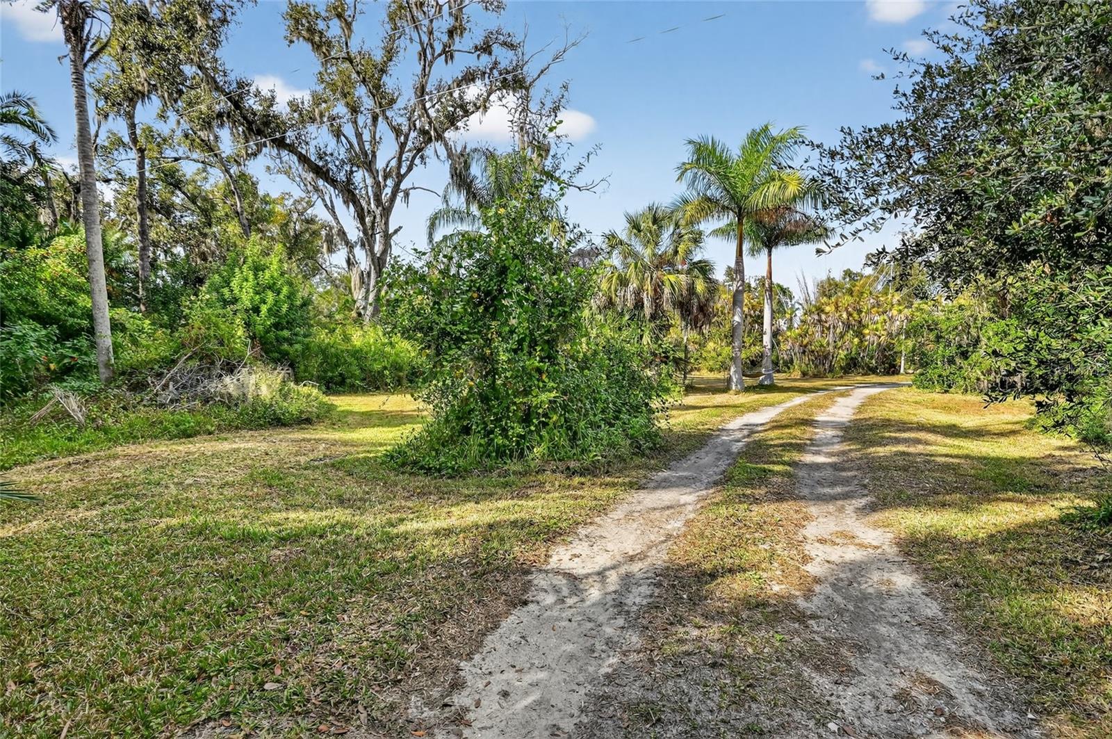 Image 19 of 26 For Address Not Provided