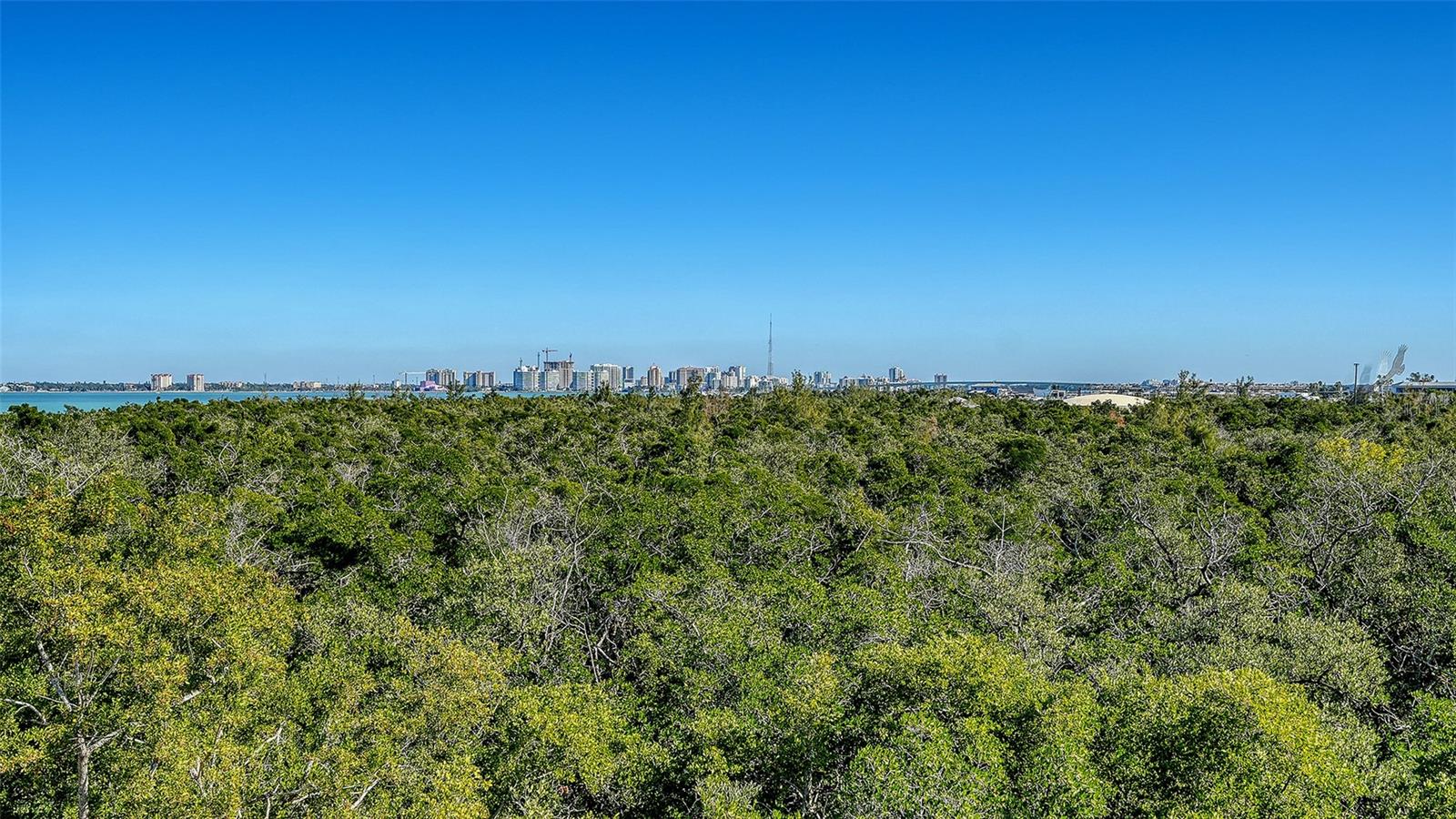 Image 4 of 38 For 350 Gulf Of Mexico Drive 234