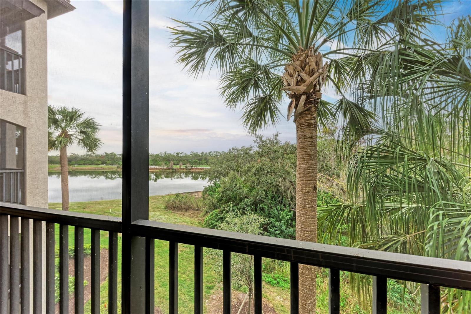 Image 18 of 89 For 16706 Vardon Terrace 308