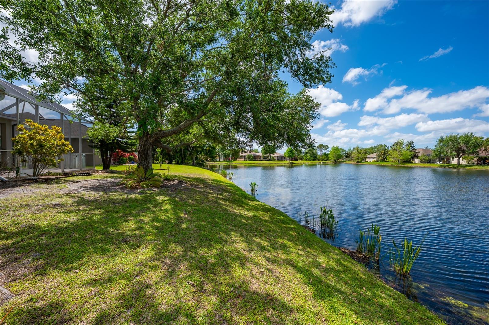 Image 45 of 58 For 14214 Cattle Egret Place