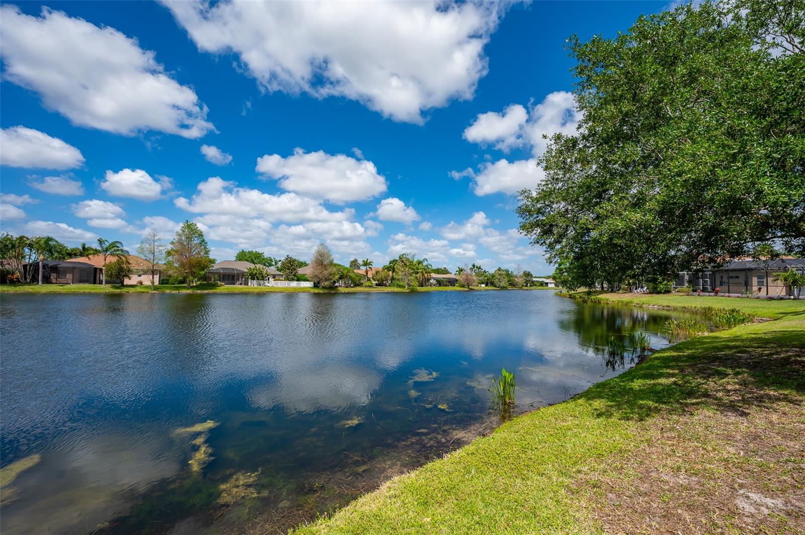 Image 46 of 58 For 14214 Cattle Egret Place