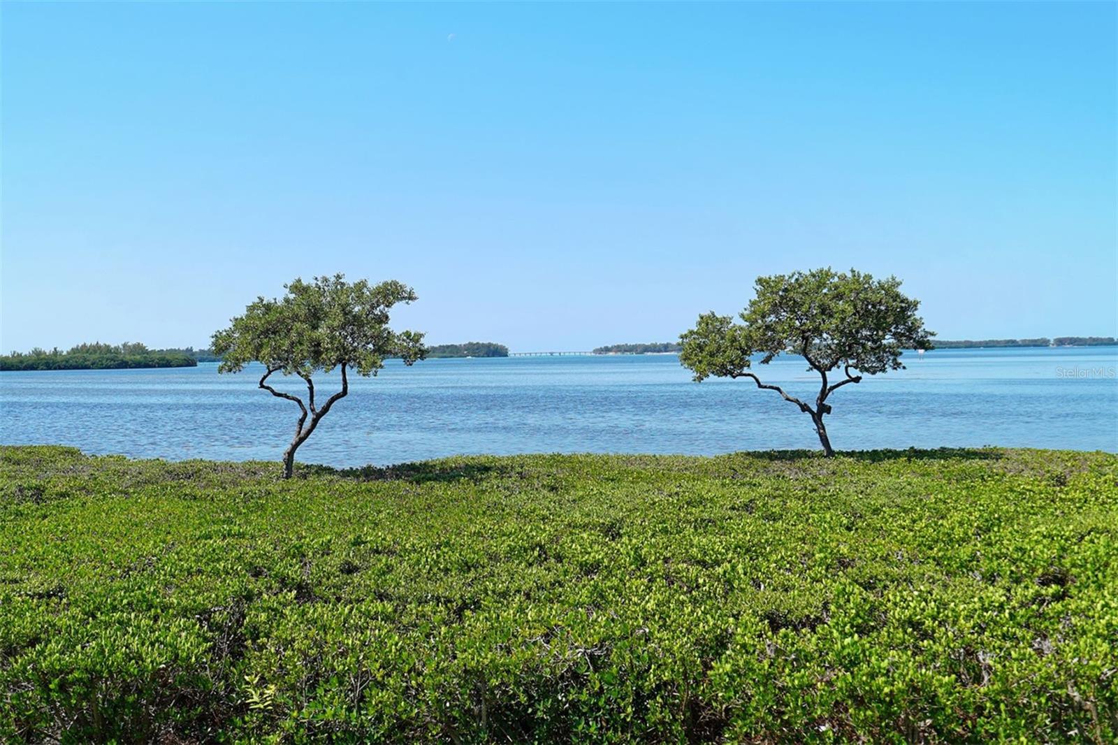 Image 61 of 72 For 4868 Independence Drive